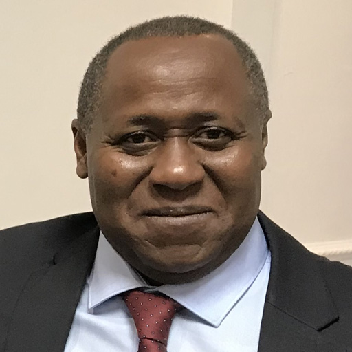 Lamine KONÉ, Secrétaire Fédéral du PADES France